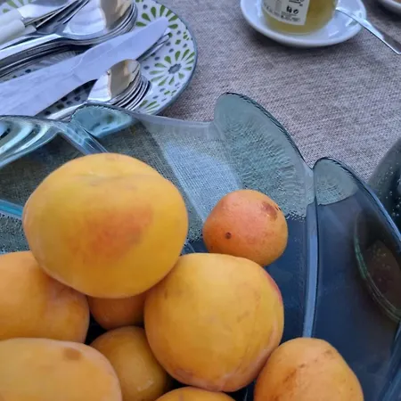 Maison d'hôtes Ohana